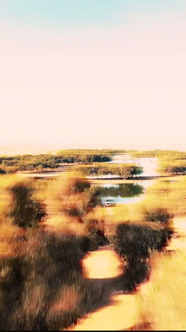 DENZA RIDE & DRIVE EXPERIENCE — Brand Experience by Dune Culture